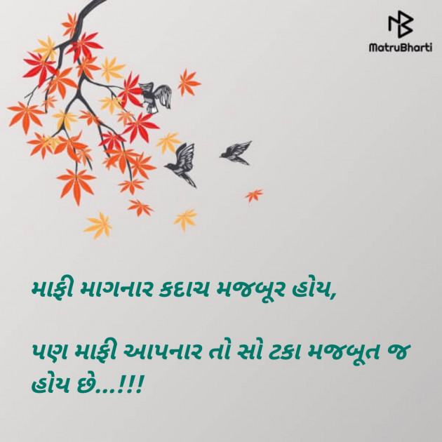 Gujarati Blog by Sajan Limbachiya : 111135595