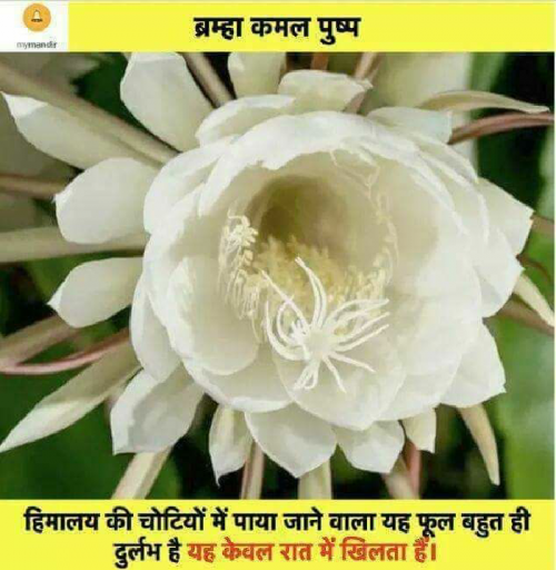 Post by मेहरबान सिंहय यादब on 14-Apr-2019 03:14pm