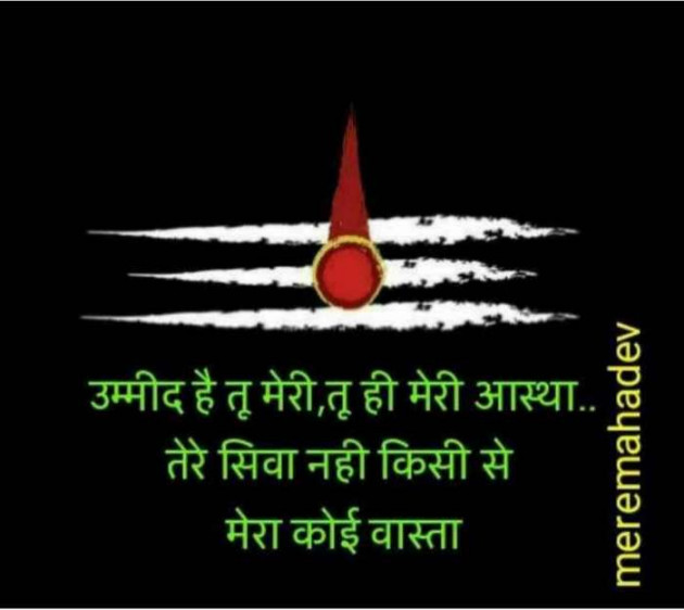 Hindi Quotes by Bhawar Singh : 111136260