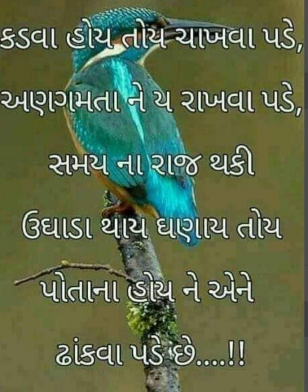 Gujarati Quotes by Viralee : 111136451