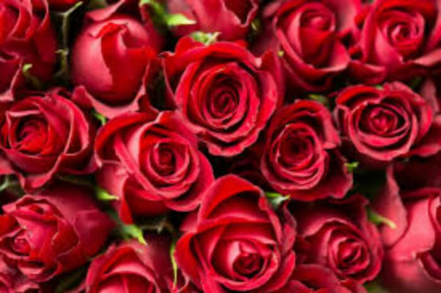 Gujarati Shayri by Anuj S K : 111136936