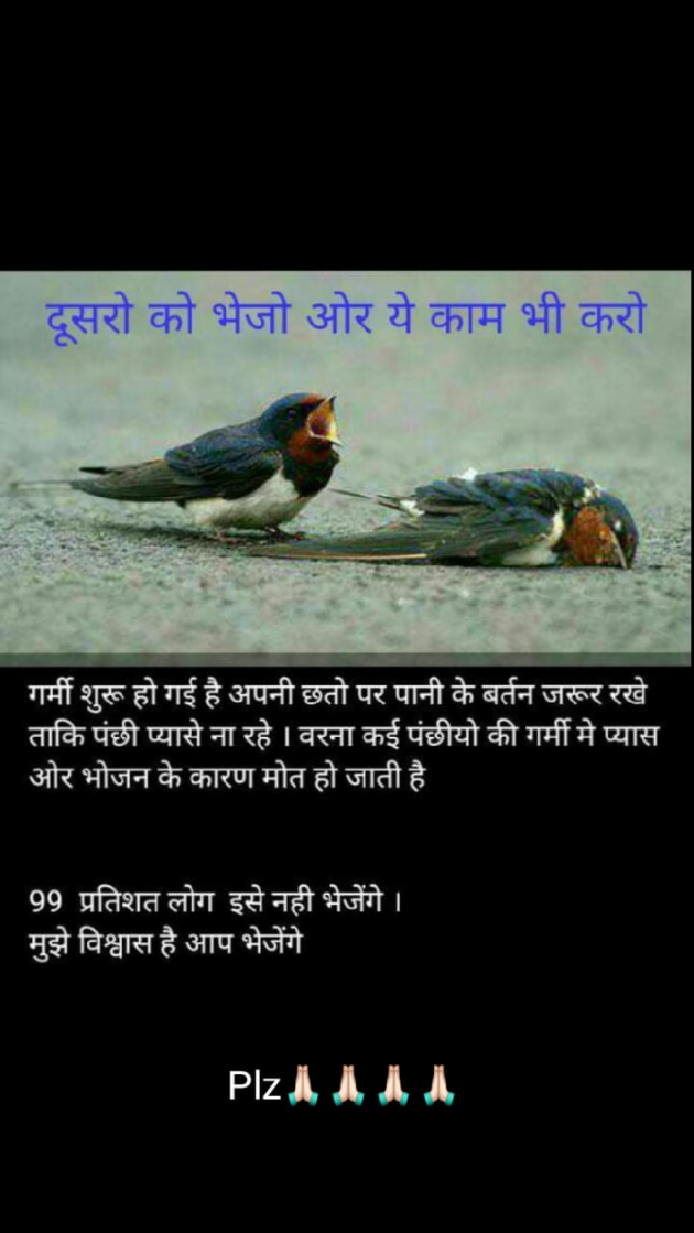 English Thought by Sahil Saini : 111137304