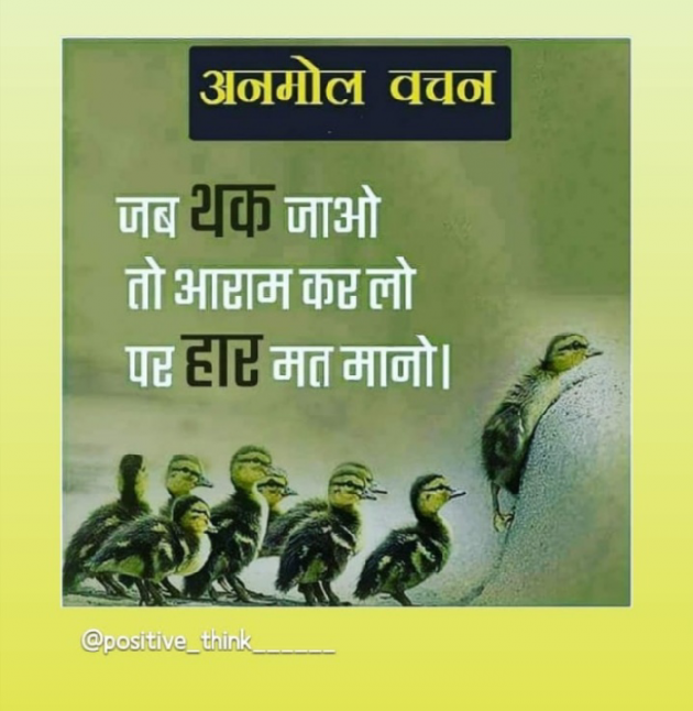Gujarati Shayri by Divya : 111137318