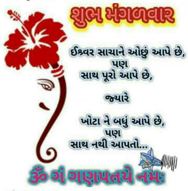 Gujarati Whatsapp-Status by Mehul Kumar : 111137514