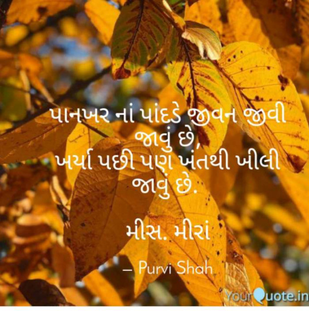 Gujarati Quotes by Kanha : 111137829