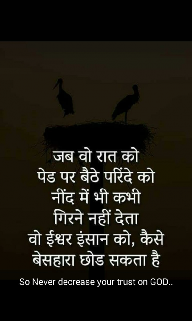 English Quotes by Prashant Vishnoi : 111138472