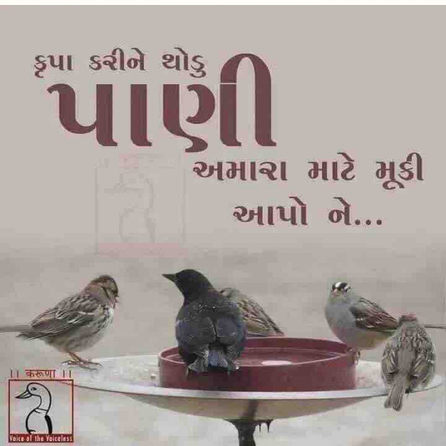 Gujarati Thought by Hitesh Patel : 111138702