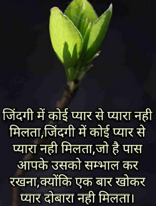 Gujarati Blog by Meera : 111138766