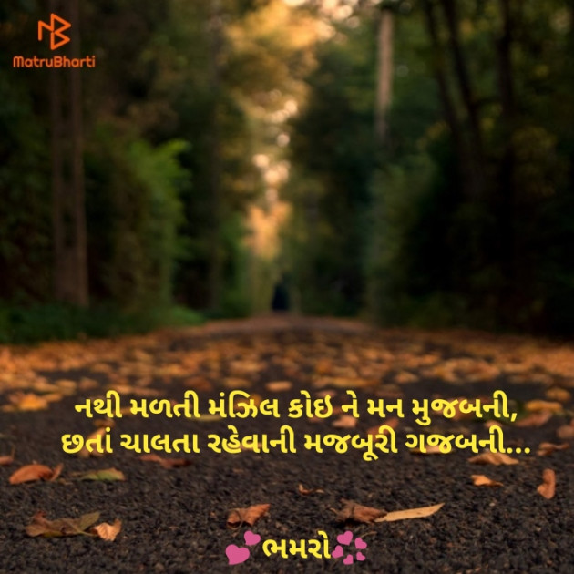 Gujarati Whatsapp-Status by Bhamro : 111139065