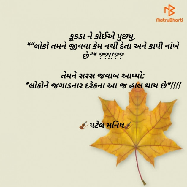 Gujarati Blog by Manish Patel : 111139224
