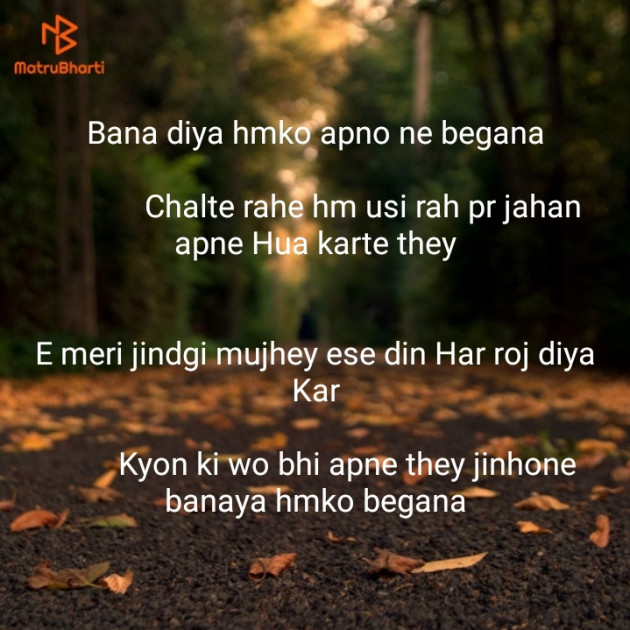 English Shayri by MANVEER SINGH : 111139839