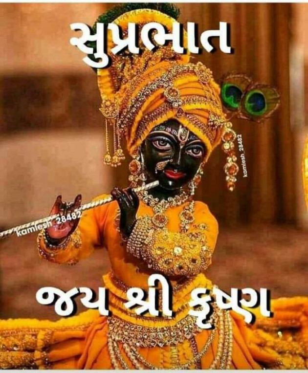 Gujarati Religious by કાળુભાઇ ચૌધરી : 111140038