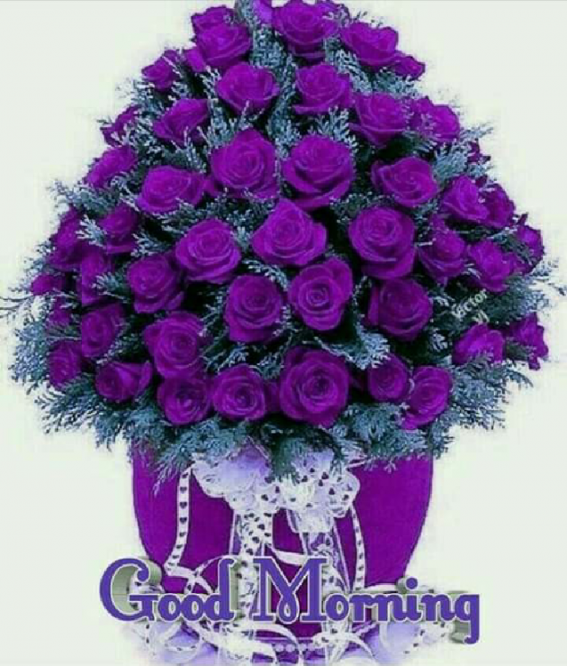 Gujarati Good Morning by Shailesh Vasava : 111140302