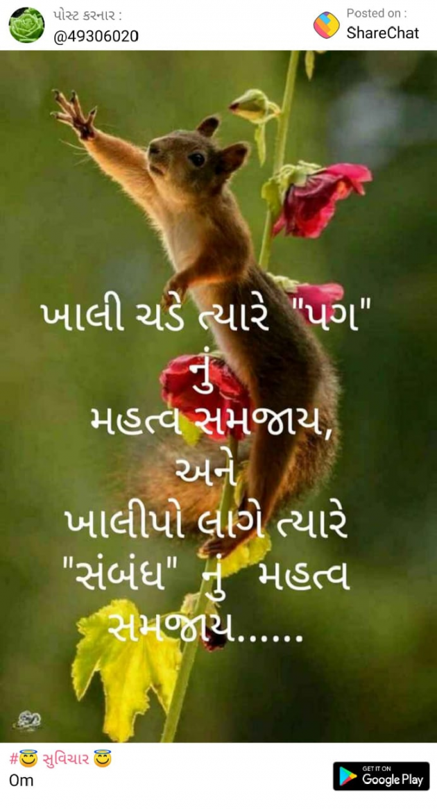 Gujarati Thought by Kano Surat : 111140448
