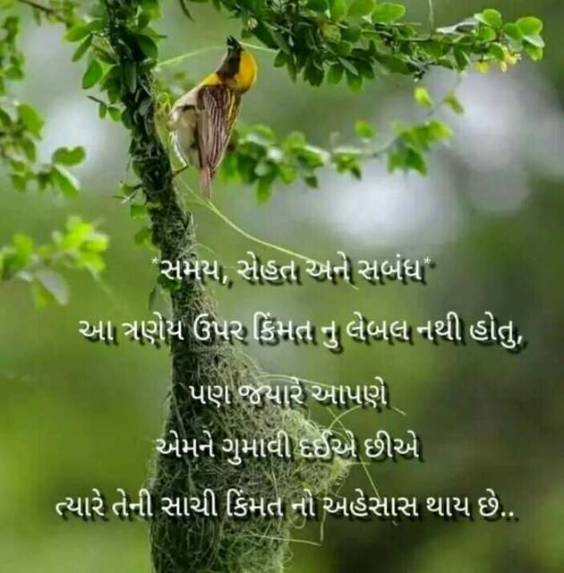 Gujarati Blog by Manish Patel : 111141931