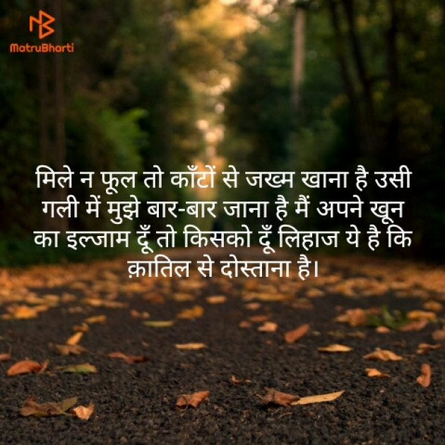 Hindi Shayri by Sushil Sharma : 111142090