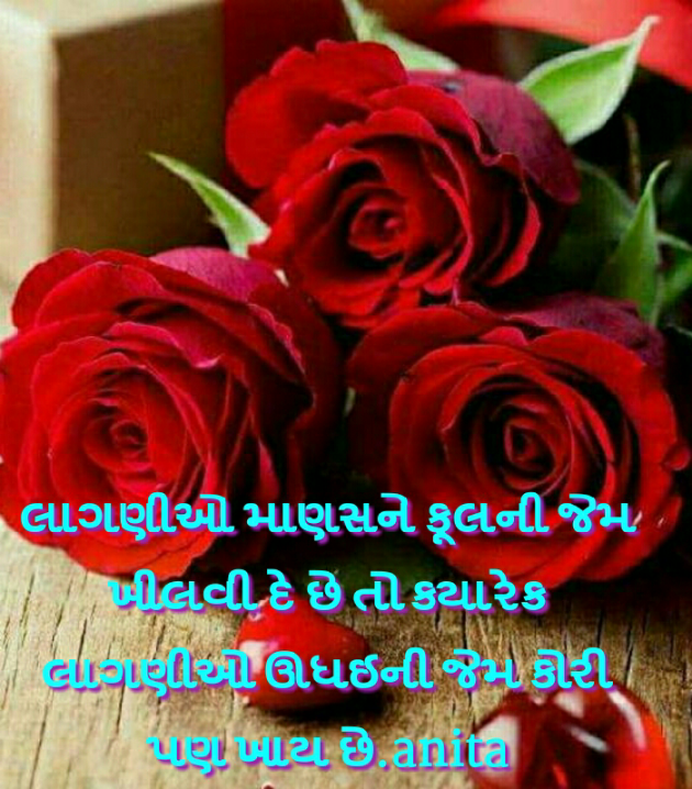 Gujarati Blog by Nai Anita : 111142363