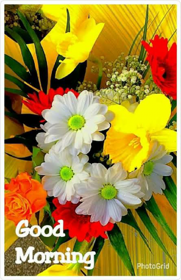 Gujarati Good Morning by Aarti : 111142556
