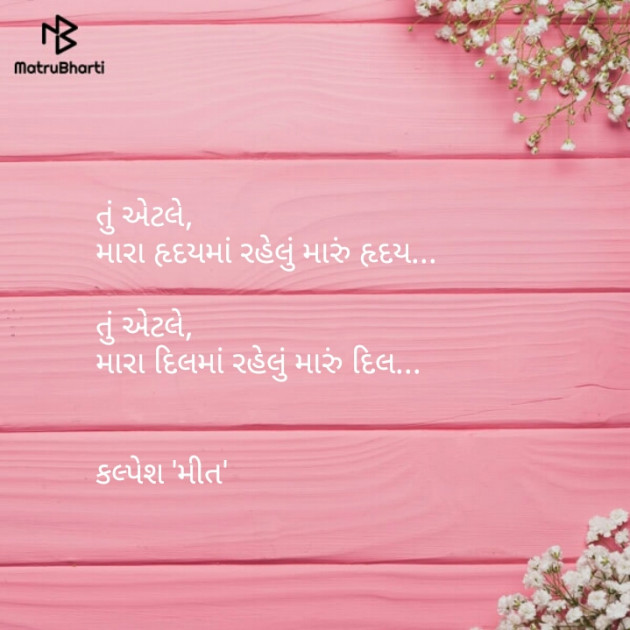 Gujarati Blog by Vasani Kalpesh : 111142602