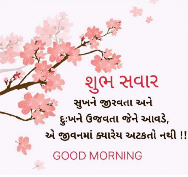 Gujarati Shayri by Arvind Ahir : 111142915