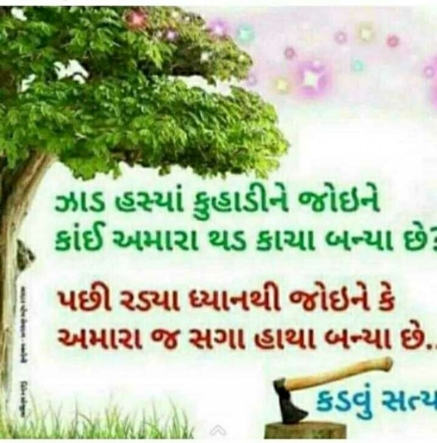 Gujarati Blog by Umesh Donga : 111142924