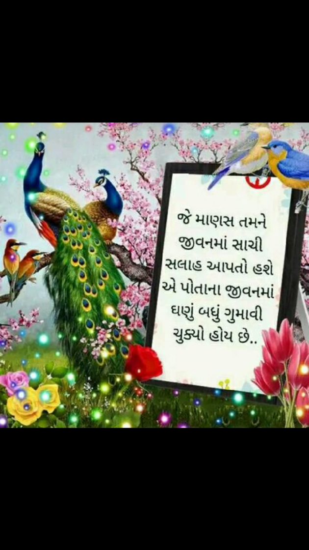 Gujarati Whatsapp-Status by Naksh Parmar : 111142943