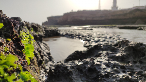 Post by JAYSUKH K Bambhaniya on 20-Apr-2019 03:53pm