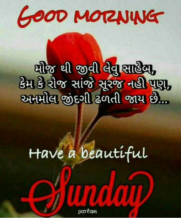 Gujarati Quotes by Mehul Kumar : 111143553