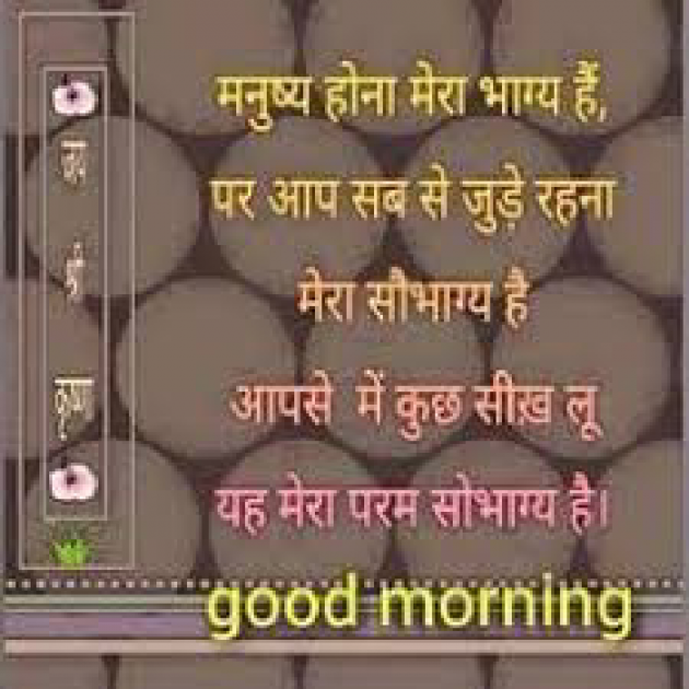 English Quotes by N. K. Mishra : 111143572