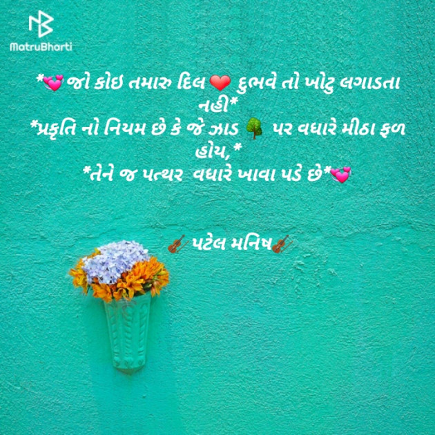 Gujarati Blog by Manish Patel : 111143819