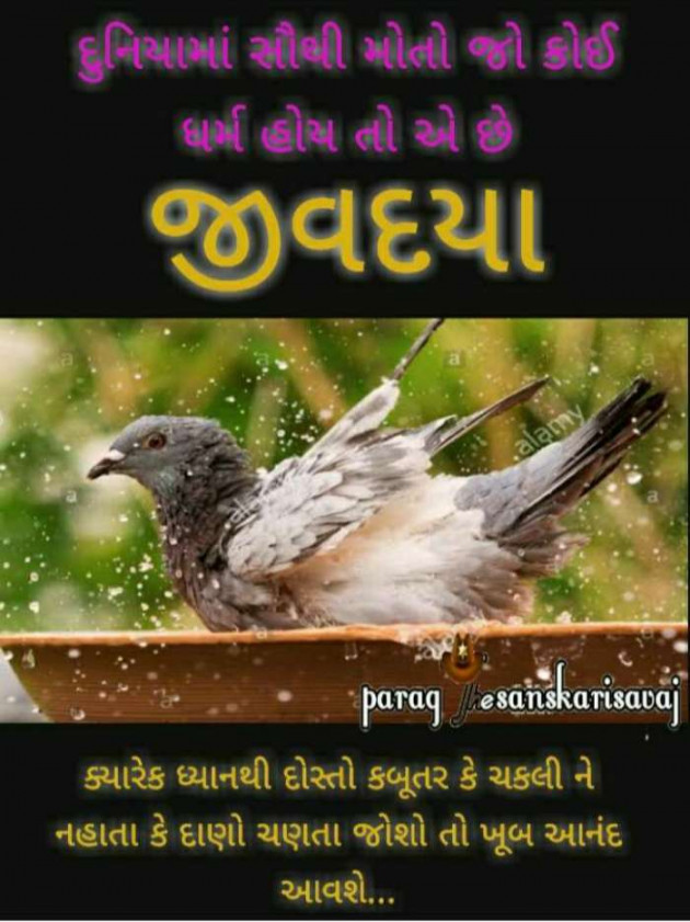 Gujarati Blog by Umesh Donga : 111143959