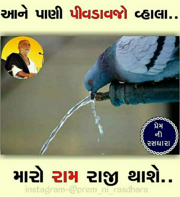 Gujarati Blog by Umesh Donga : 111143960