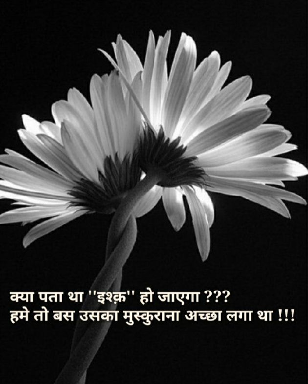 Gujarati Blog by Nidhi_Nanhi_Kalam_ : 111144057