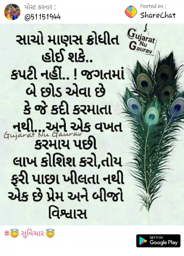 Gujarati Motivational by rajat chaudhary : 111144136