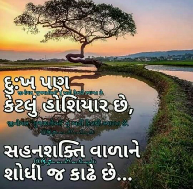 Gujarati Blog by Sandeep Patel : 111144232