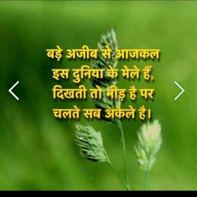 Gujarati Thought by kadam raju : 111144478