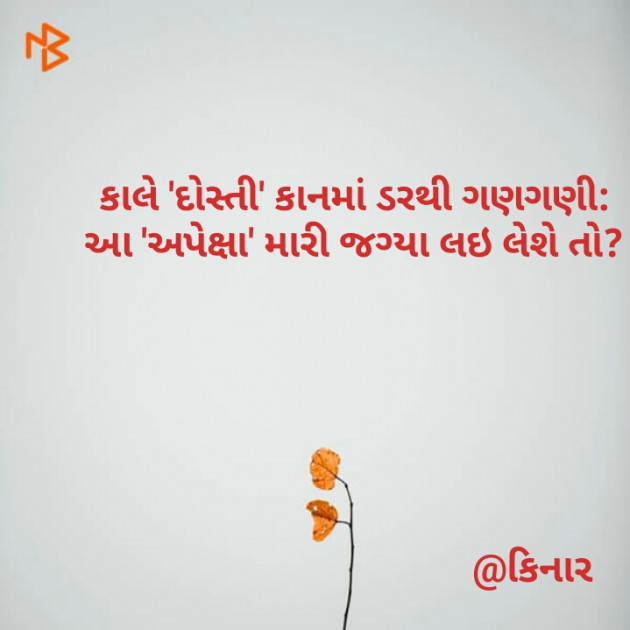 Gujarati Thought by Kinar Rana : 111144603