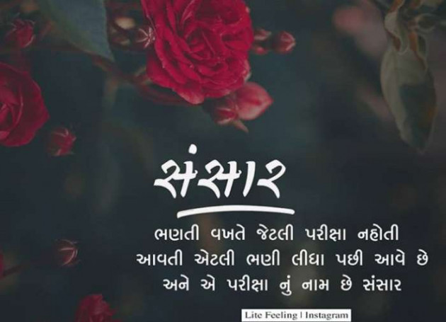 English Quotes by Jasmin Mistry Jasmin Mistry : 111145797