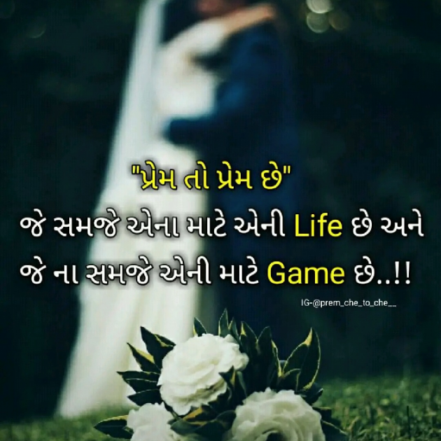 Gujarati Shayri by Aamir Vhora : 111145913