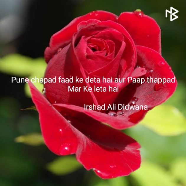 Hindi Quotes by Irshad Ali : 111146023