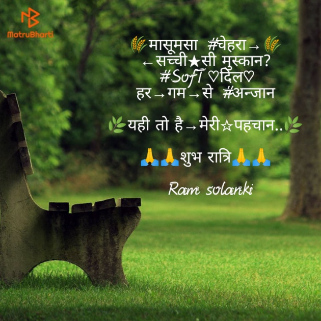 Hindi Shayri by Ram Solanki : 111146461