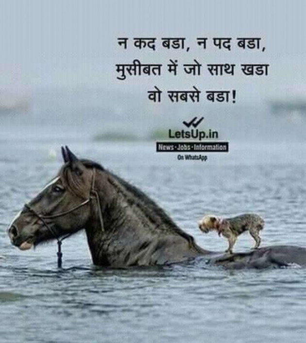 English Quotes by Jasmin Mistry Jasmin Mistry : 111146463