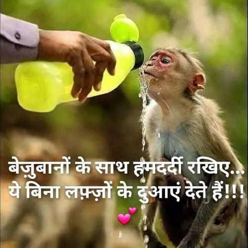 Post by Meghraj Birla on 24-Apr-2019 06:13am