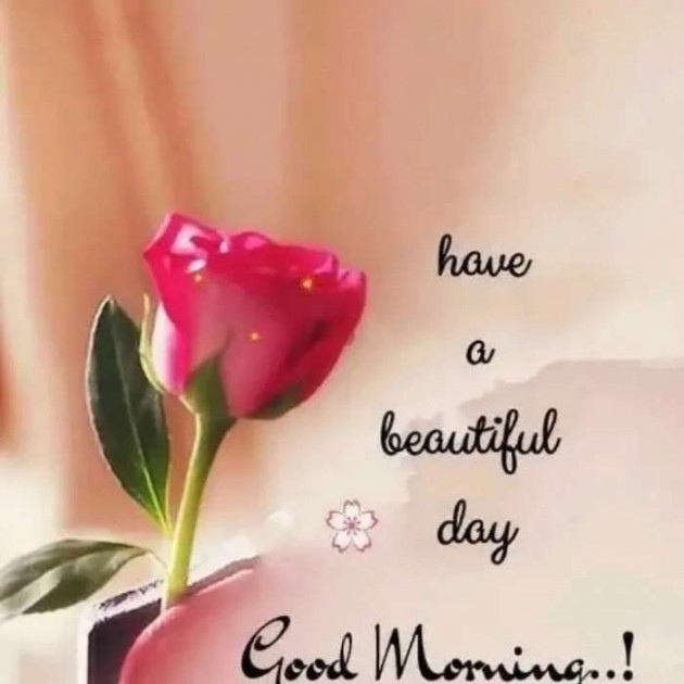 Hindi Quotes by Gurpreet Singh : 111146799