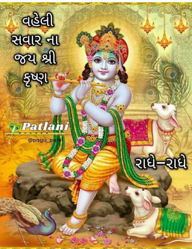 Gujarati Good Morning by Nik Vaghasiya : 111146826