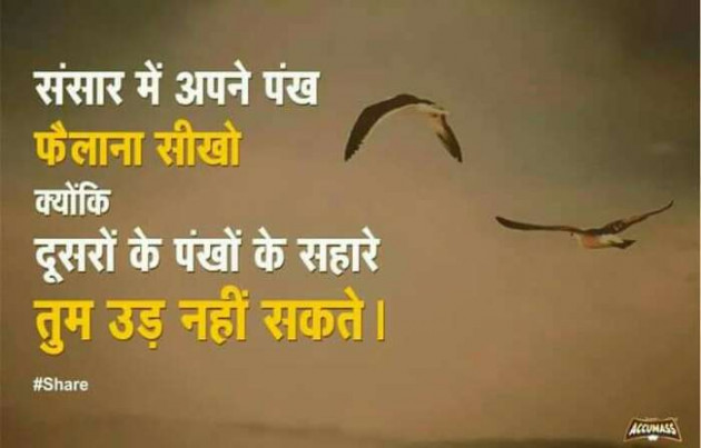 English Quotes by Pankaj 9898 : 111147305