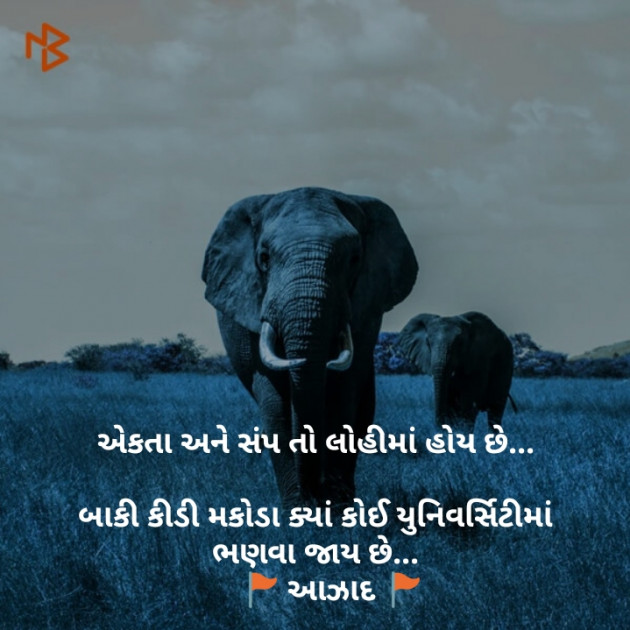 Gujarati Blog by Sanjay Dave : 111147409