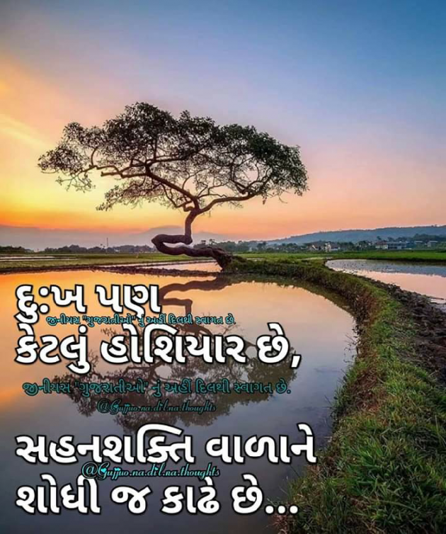 Gujarati Quotes by B s Ahir : 111147510