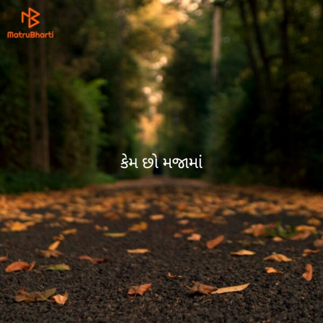 Gujarati Blog by B s Ahir : 111147622