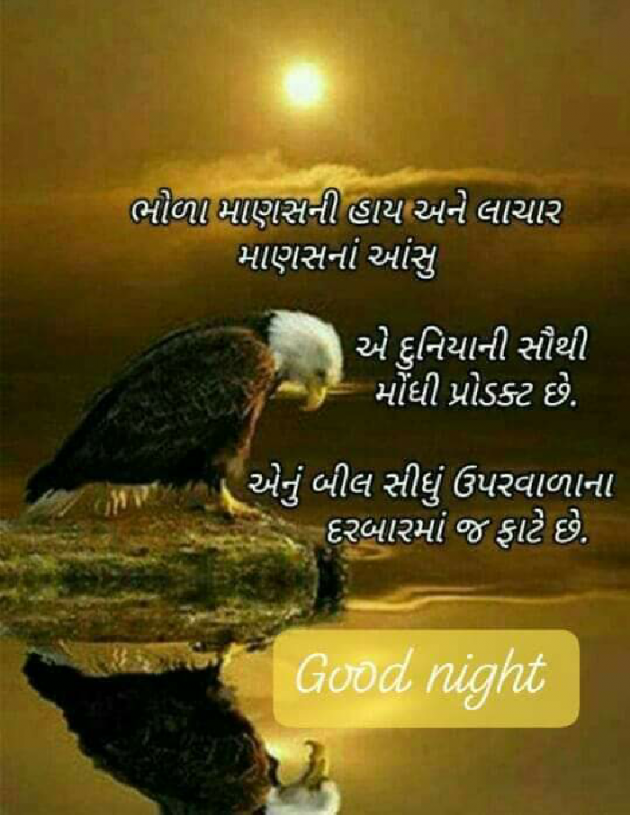 Gujarati Quotes by Hemant Chauhan sikandar : 111147673